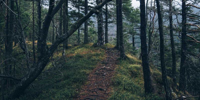 从培训到赋能：广州合纵EP如何驱动销售团队持续业绩突破与职业发展