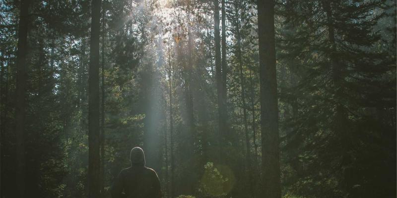 广州合纵EP58:赋能职场新未来,解锁职业技能培训新高度