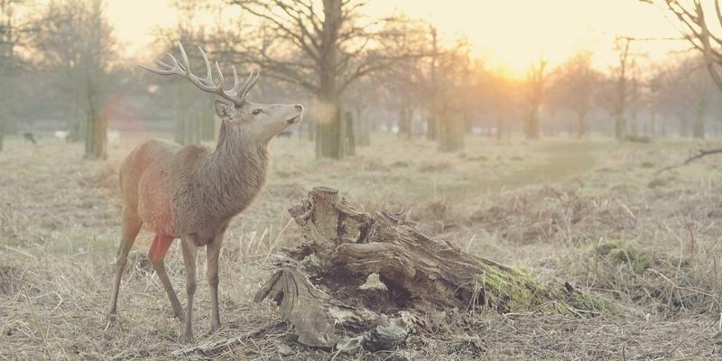 广州合纵EP61：职业技能培训与认证的新标杆，赋能职业发展新路径