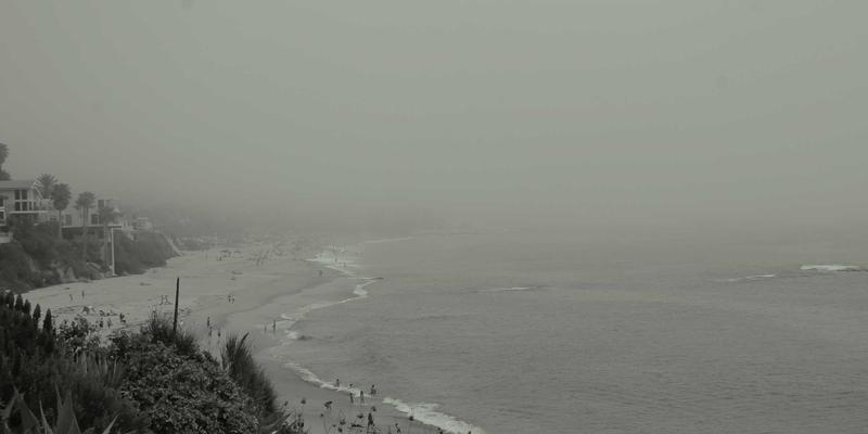 广州合纵EP68：解锁职业新未来的教育培训与认证指南