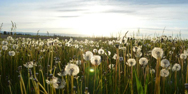 广州合纵EP70：解锁职业认证与领导力提升的卓越路径