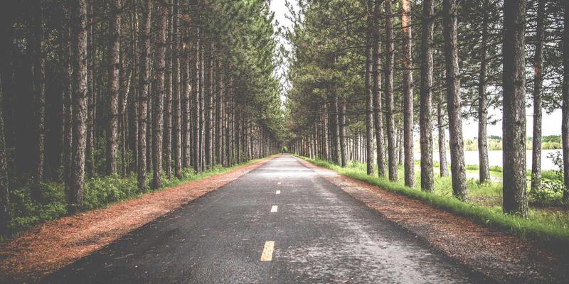 广州合纵EP：三步构建企业内训师体系，赋能领导力与职业技能培训