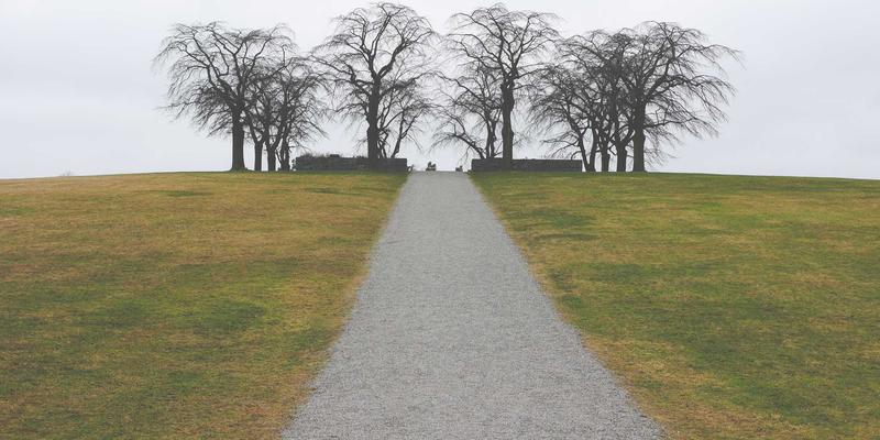 广州合纵EP入门指南:职业认证培训如何为你的职业生涯赋能