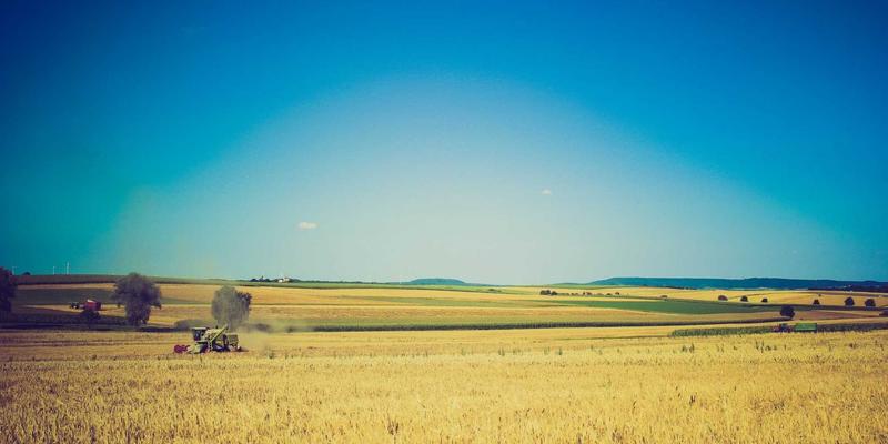 广州合纵EP培训深度解析:职业认证如何赋能职场竞争力