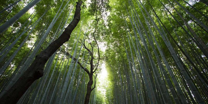 广州合纵EP推荐：专业培训赋能职业发展，开启职场新篇章