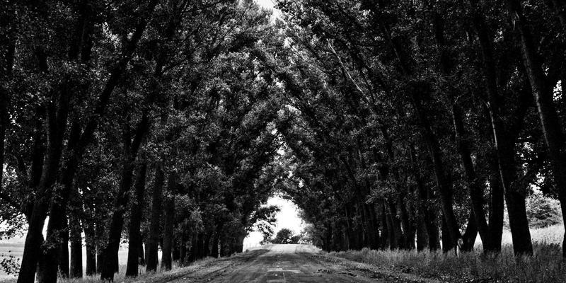 广州合纵EP移动学习功能深度测评：碎片化时代下的领导力课程与教育培训新范式