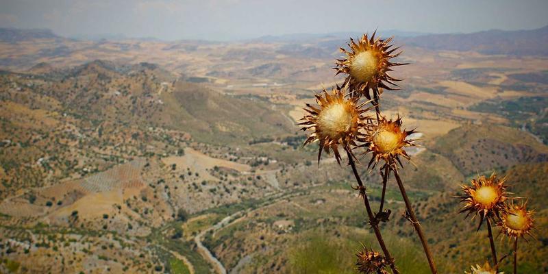 广州合纵EP系统如何通过数据分析重塑职业技能培训与认证路径