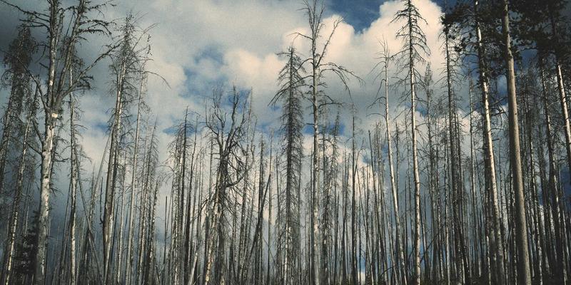 广州合纵EP系统集成实践：打通OA与CRM数据，如何提升职业技能培训ROI与员工职业发展