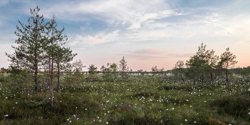 广州合纵EP解决方案：职业技能培训的投资回报率深度解析