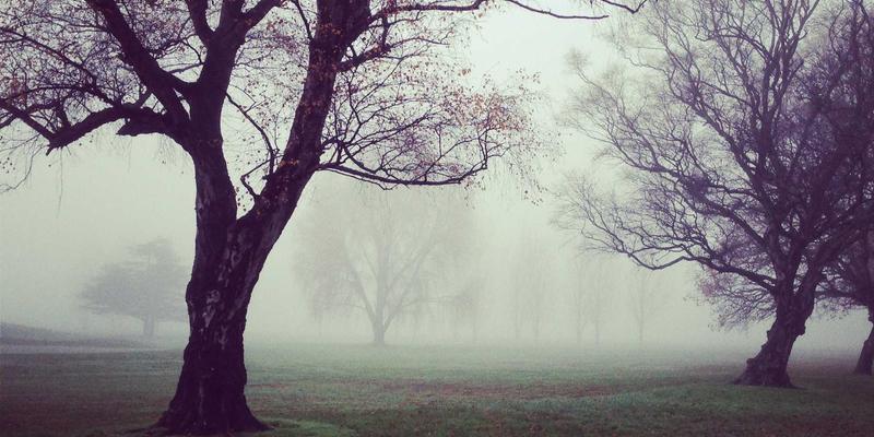 广州合纵EP：金融反洗钱培训的追踪、记录与报告一体化解决方案，赋能领导力与职业技能提升