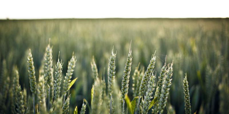 广州合纵EP领导力课程：制造业SOP数字化与考核融合的职业发展新路径