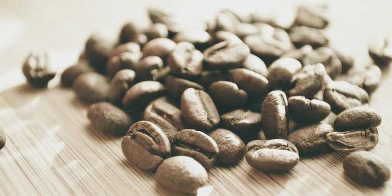 广州培训新范式：依托合纵EP平台，以胜任力模型驱动精准人才盘点与职业发展