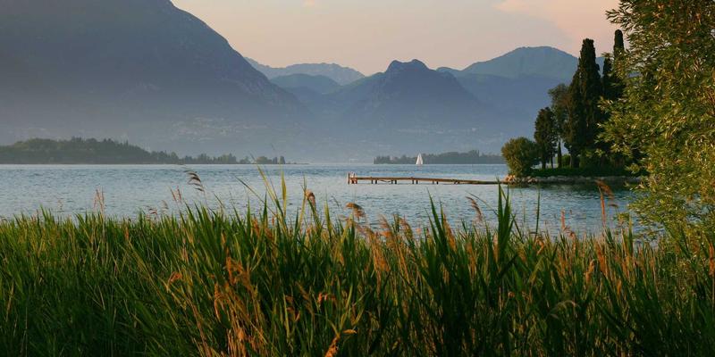 微学习如何重塑制造业职业技能培训？广州合纵EP的移动端解决方案实践