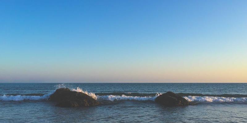 掌握广州合纵EP技巧：职业技能培训如何加速你的职业发展