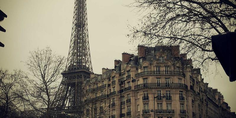 精准预测人才缺口：广州合纵EP大数据分析如何赋能企业关键岗位规划与广州培训认证