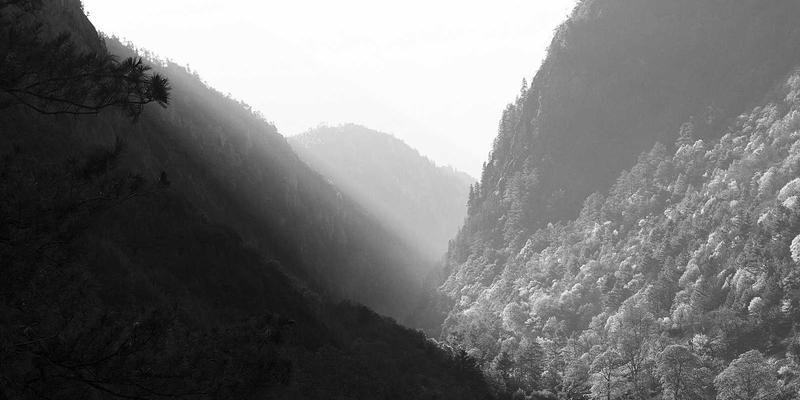 职业发展新引擎：广州合纵EP系统如何构建企业知识库与经验传承体系